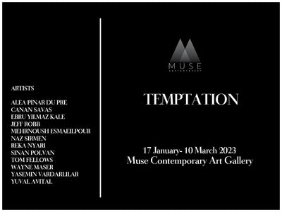 Temptation, Muse Contemporary Gallery, Istanbul