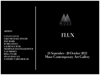 Flux, Muse Contemporary Gallery, Istanbul